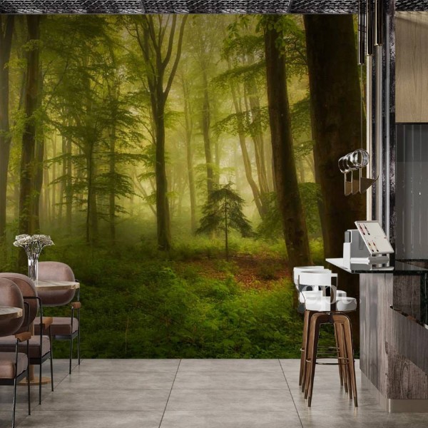 MARBURG | Sunny Forest