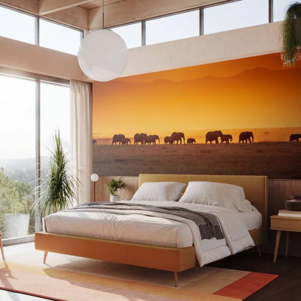 MARBURG | Sunrise Elephant Wildlife