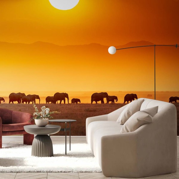 MARBURG | Sunrise Elephant Wildlife