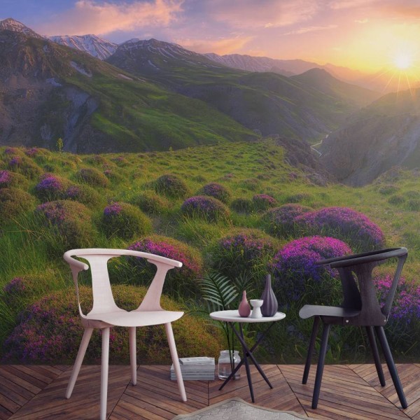 MARBURG | Sunrise in the Meadow