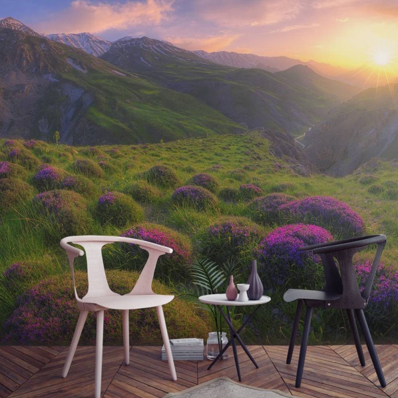 MARBURG | Sunrise in the Meadow