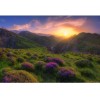 MARBURG | Sunrise in the Meadow