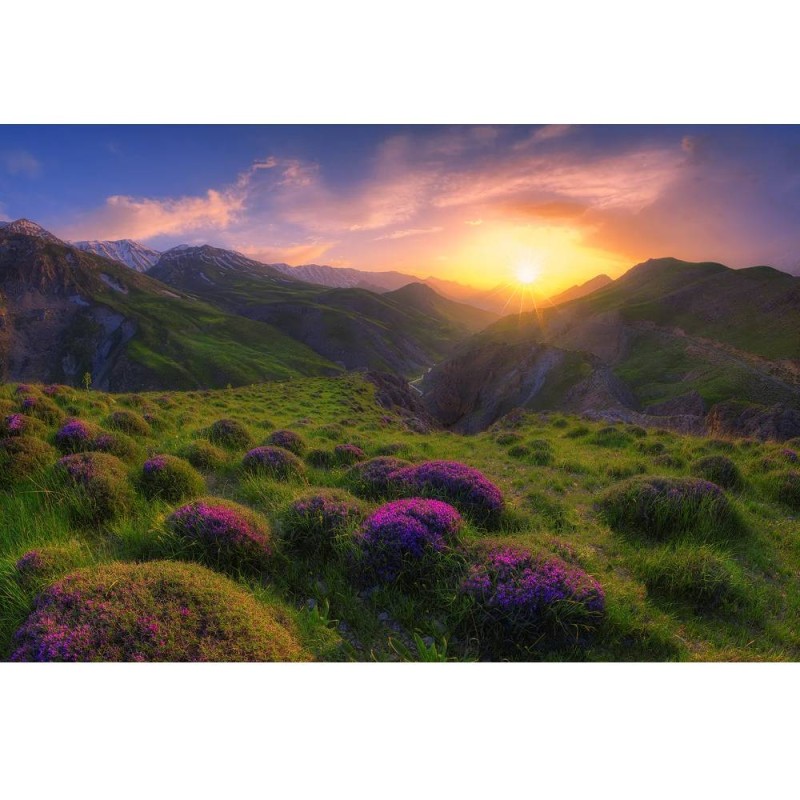 MARBURG | Sunrise in the Meadow