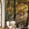 MARBURG | The Sun Shines