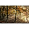 MARBURG | The Sun Shines