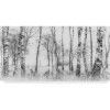 MARBURG | Tree Trunk Side