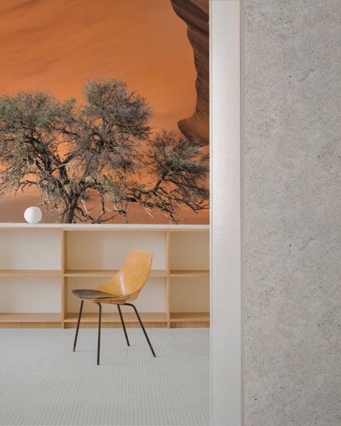 MARBURG | Tree Wind Desert
