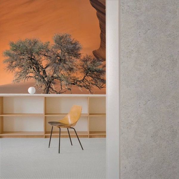 MARBURG | Tree Wind Desert