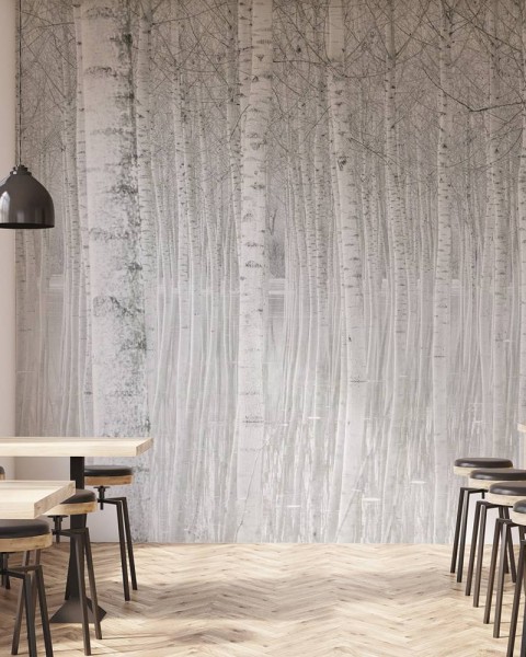 MARBURG | Trees in Canva