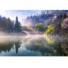 MARBURG | Water Forest