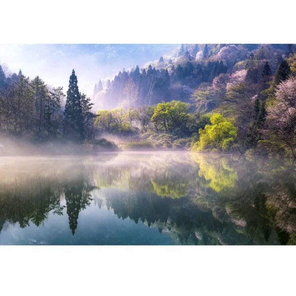 MARBURG | Water Forest