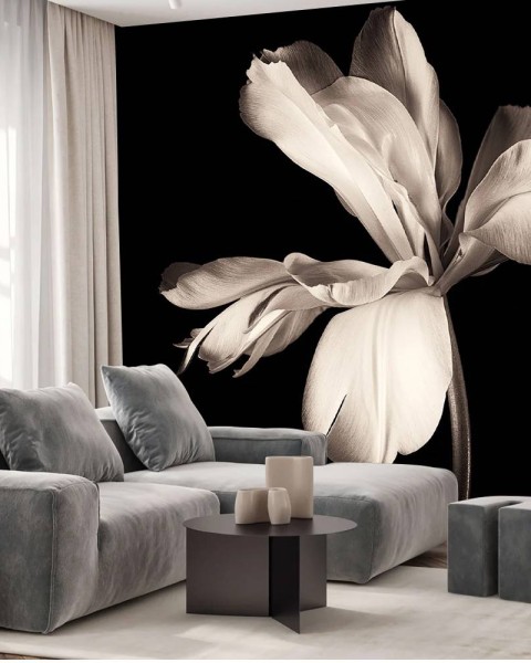 MARBURG | White Magnolia