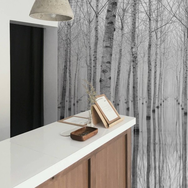 MARBURG | Winter Birch Trees