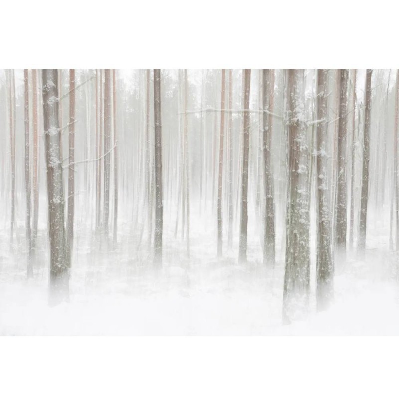 MARBURG | Winter Woods Sweden