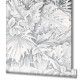 MARBURG | BOTANICA | 1133308