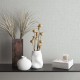 MARBURG | BOTANICA | 1133326