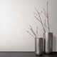 MARBURG | BOTANICA | 1133332
