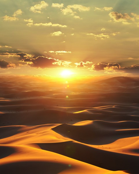 MARBURG | DUNE | 1132545