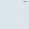 MARBURG | Flora XIX