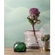 MARBURG | HABITAT | 1134019