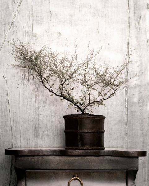 Marburg | Horus Design | 1158706