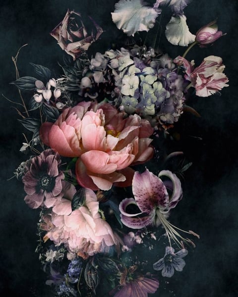 MARBURG | Essentiel | 1132755