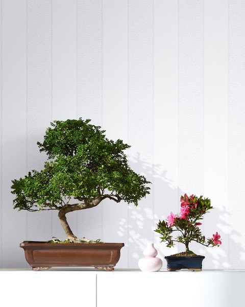 MARBURG | NOVAMUR IVY | 1182303
