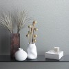 MARBURG | NOVAMUR IVY | 1182310