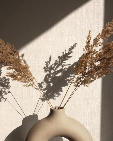 Marburg | Novamur Kylie | 1182433