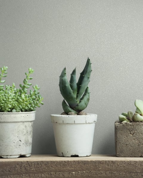 MARBURG | Novamur Naomi Design IV