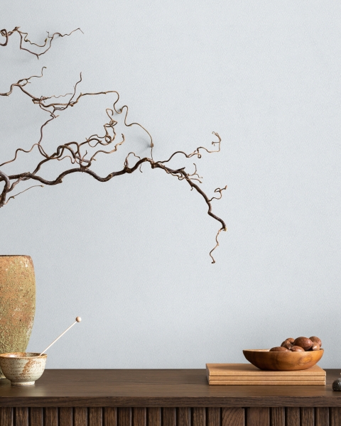 MARBURG | Novamur Oriana III