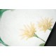 MARBURG | SHADES | 1132455