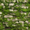 Marburg | Struktura | 1145732