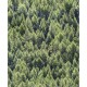 Marburg | Struktura | 1145730