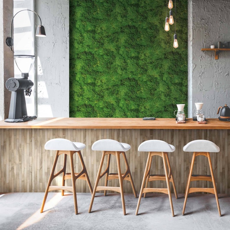 Marburg | Struktura | 1145733