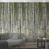 MARBURG | SMART ART EASY XXXIII