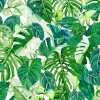MARBURG | SPIRIT OF JUNGLE IV