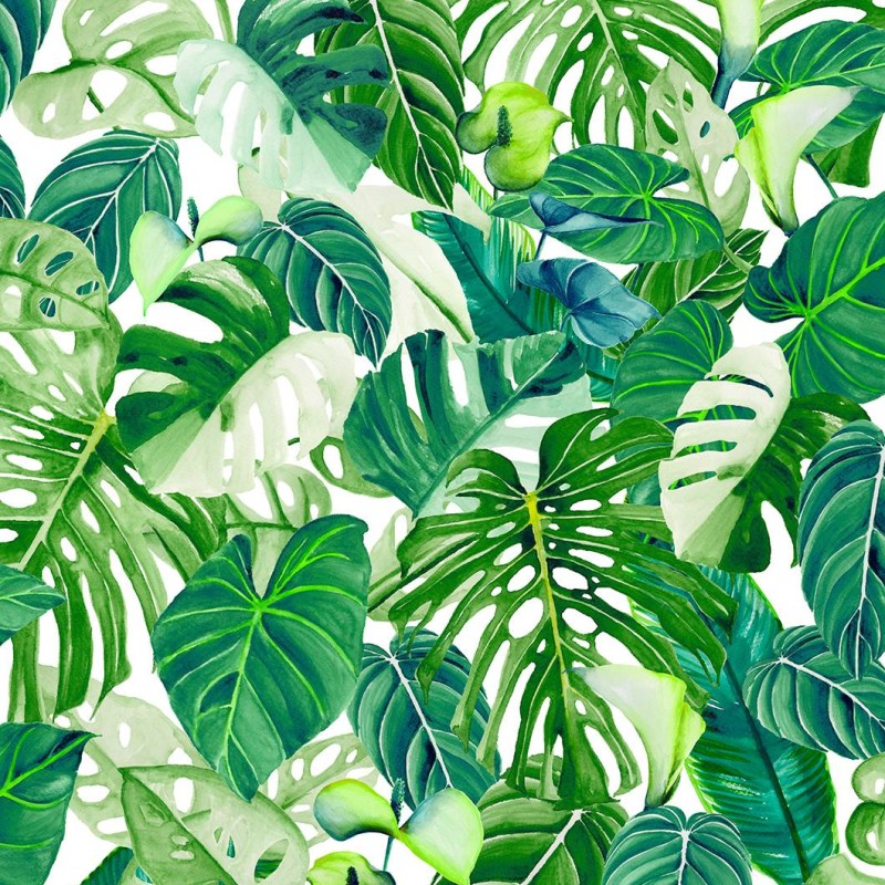 MARBURG | SPIRIT OF JUNGLE IV