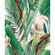 MARBURG | SPIRIT OF JUNGLE II