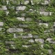 Marburg | Struktura | 1145731
