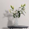 MARBURG | TRAVERTINO DESIGN I