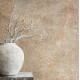 MARBURG | The New Textures II