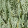 MINDTHEGAP | THE WETLANDS | AQUATIC PLANTS