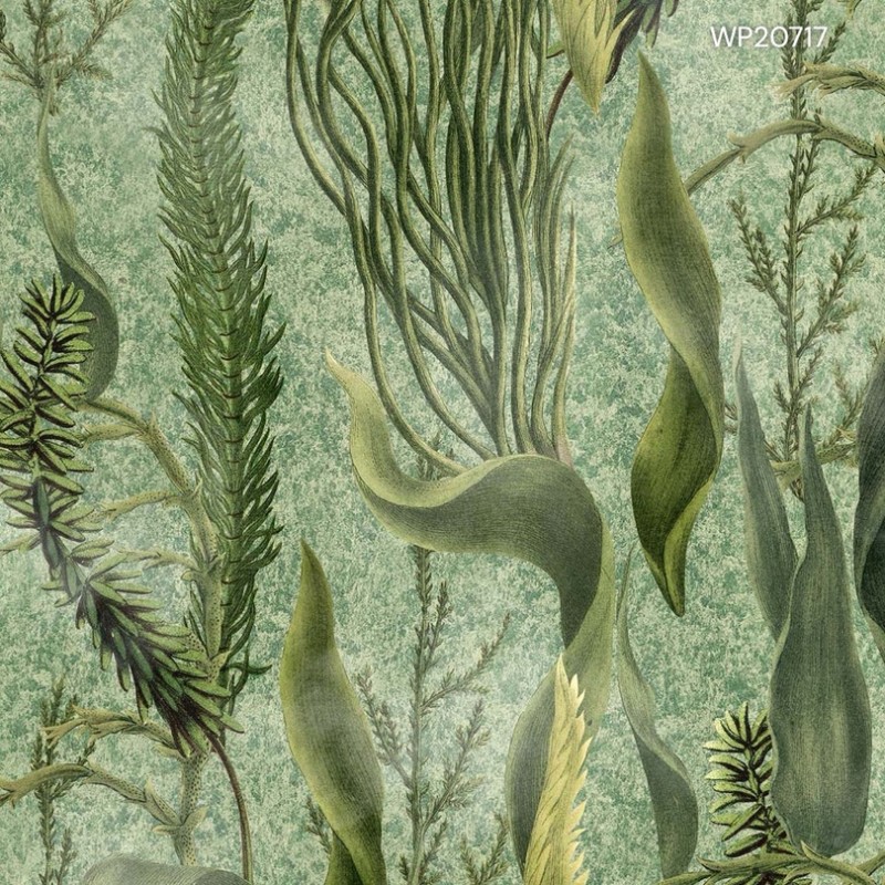 MINDTHEGAP | THE WETLANDS | AQUATIC PLANTS