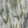 MINDTHEGAP | THE WETLANDS | AQUATIC PLANTS