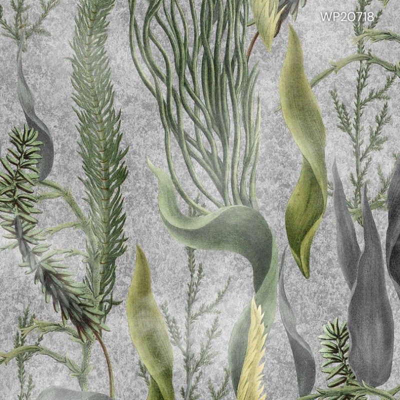 MINDTHEGAP | THE WETLANDS | AQUATIC PLANTS