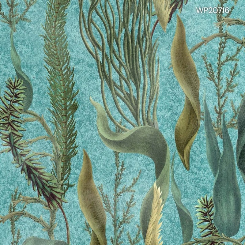 MINDTHEGAP | THE WETLANDS | AQUATIC PLANTS