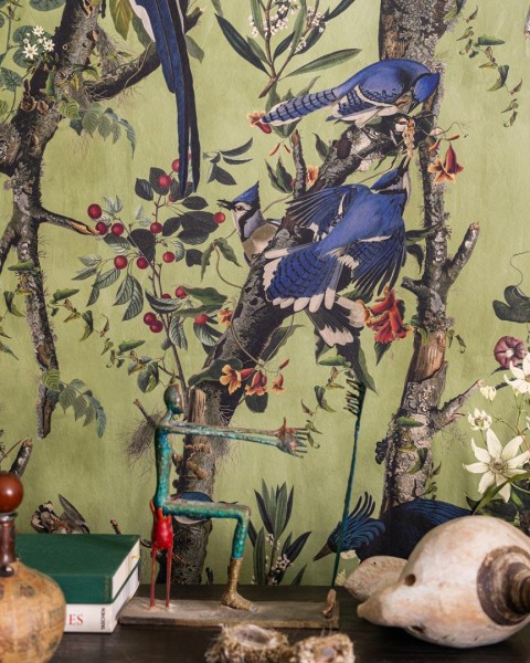 MINDTHEGAP | THE WETLANDS | BIRDS OF DANUBE | WP20715