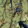MINDTHEGAP | THE WETLANDS | BIRDS OF DANUBE | WP20715