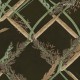 MINDTHEGAP | THE WETLANDS | ORNAMENTAL REED
